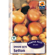 Setton Onions Bulb
