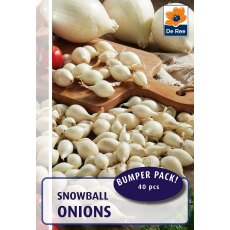 Snowball Onions Bulb