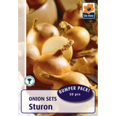 Sturon Onions Bulb