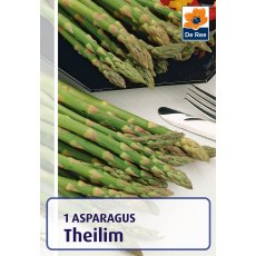 Asparagus Theilim Bulb