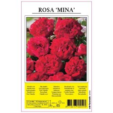 Rose Mina Red