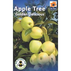 Golden Delicious Apple Tree