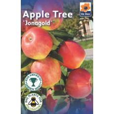 Jonagold Apple Tree