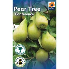 Conference Pear Tree