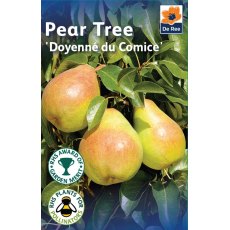 Doyenne Du Comice Pear Tree