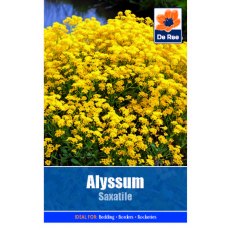 Alyssum Saxatile Seed