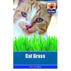 Cat Grass Seed