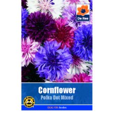 Cornflower Polka Dot Seed
