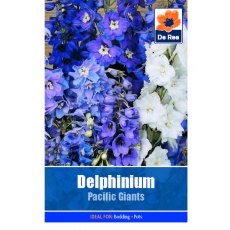 Delphinium Pacific Giant Seed