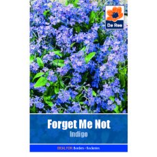 Forget Me Not Indigo Seed