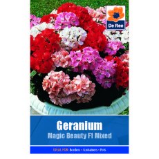 Geranium Magic Beauty Seed