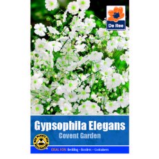 Gypsophilia Elegans Covent Garden