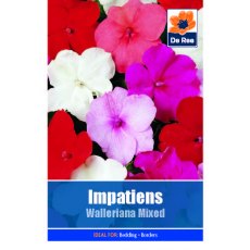 Impatiens Walleriana Mixed Seed