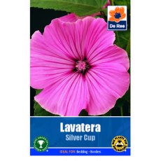 Lavetera Silver Cup Seed