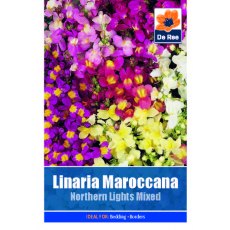 Linaria Maroccana Northern Lights Mixed