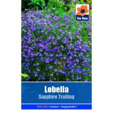 Lobelia Sapphire Trailing Seed