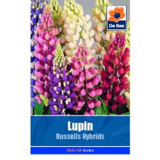 Lupin Russells Hybrids Seed