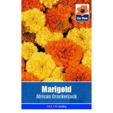 Marigold African Crackerjack Seed