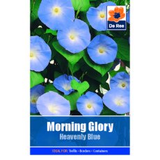 Morning Glory Heavenly Blue Seed