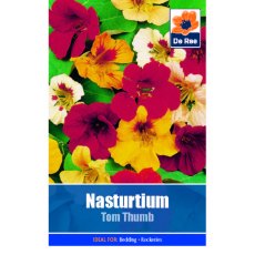 Nasturtium Tom Thumb Seed