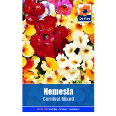 Nemesia Carnival Mixed Seed