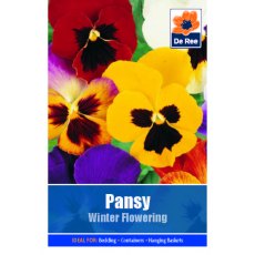 Pansy Winter Flowering Seed