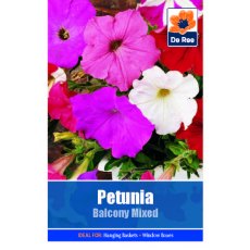 Petunia Balcony Mixed Seed