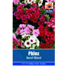 Phlox Dwarf Mixed Seed