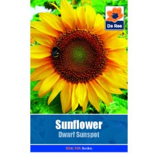 Sunflower Dwarf Sunspot Seed