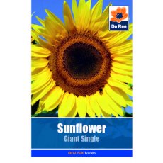 Sunflower Giant Single Seed