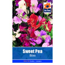 Sweet Pea Bijou Seed