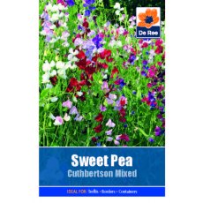 Sweet Pea Cuthbertson Mixed Seed
