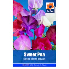 Sweet Pea Giant Wave Mixed Seed