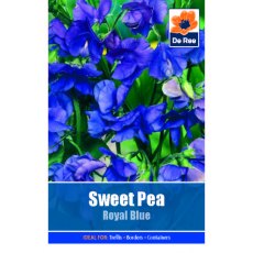 Sweet Pea Royal Blue Seed
