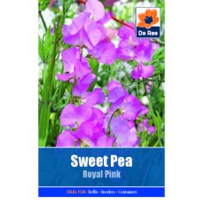 Sweet Pea Royal Pink