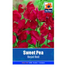Sweet Pea Royal Red Seed