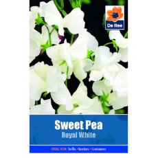 Sweet Pea Royal White Seed