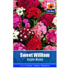 Sweet William Single Mixed Seed