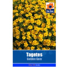 Tagetes Golden Gem Seed