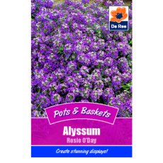 Alyssum Rosie O'Day Seed