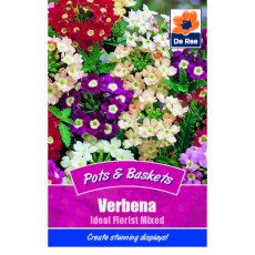 Verbena Ideal Florist Mixed Seed