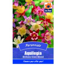 Aquilegia Mckana Giant