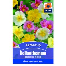 Helianthemum Mutabile Mixed Seed