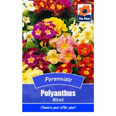 Polyanthus Mixed Seed