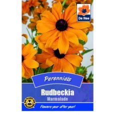 Rudbeckia Marmalade Seed