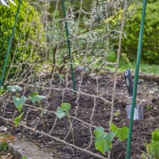 EcoJute Pea & Bean Net 1.8m x 1.8m