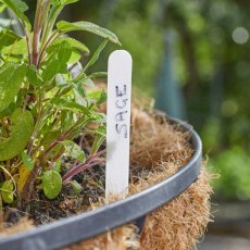 Plant Labels 12.5cm 50 Pack