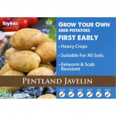Taylor's Bulbs Seed Potatoes Pentland Javelin 2kg
