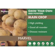 Taylor's Bulbs Seed Potatoes Marvel 2kg