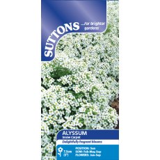 Suttons Alyssum Snow Carpet Seeds